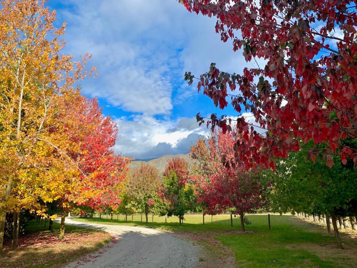 Queenstown Country Lodge Lake Hayes Экстерьер фото